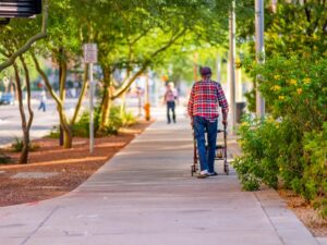 Person walking along sidewalk off of a busy street in a city. The sidewalk is surrounded by green and flowering bushes, above the walkway are trees lining the path to provide shade.