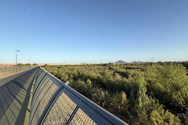 An elevated shared-use path overlooks a dense riparian corridor filled with native vegetation, shrubs, and mature trees. Distant mountains and transportation infrastructure are visible on the horizon beneath a clear blue sky.