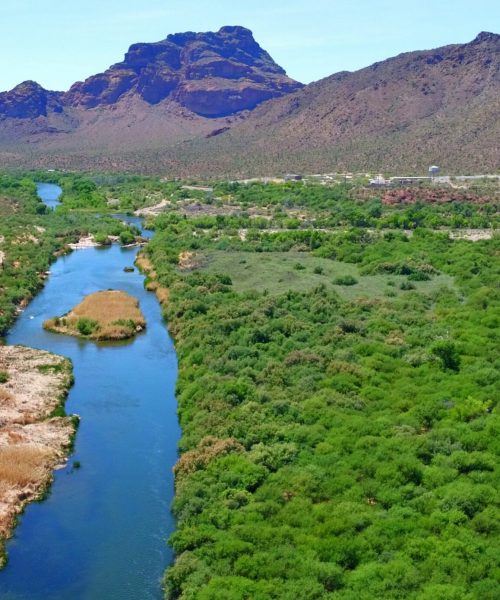 Aerial view of a winding river corridor flowing through a desert landscape, surrounded by dense riparian vegetation and wetland habitat. The river creates a vibrant green corridor that contrasts with the surrounding arid terrain and rugged mountain range in the background.