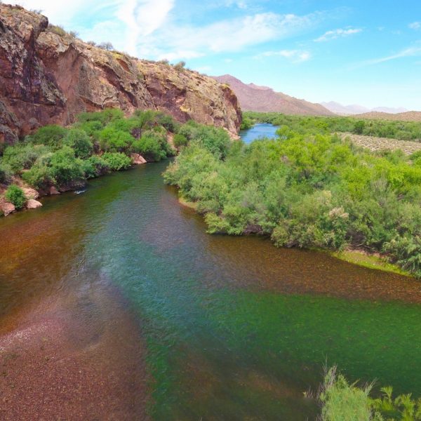 A winding river flows through a desert landscape bordered by rugged rock cliffs and dense riparian vegetation. The clear water curves between lush green trees and shrubs, creating a striking contrast with the surrounding arid terrain and exposed canyon walls.